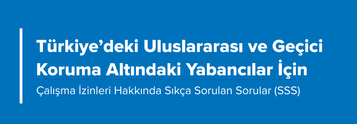 E-devlet üzerinden yapılan çalışma izni başvurusu sırasında kullanılacak temel belgeler.